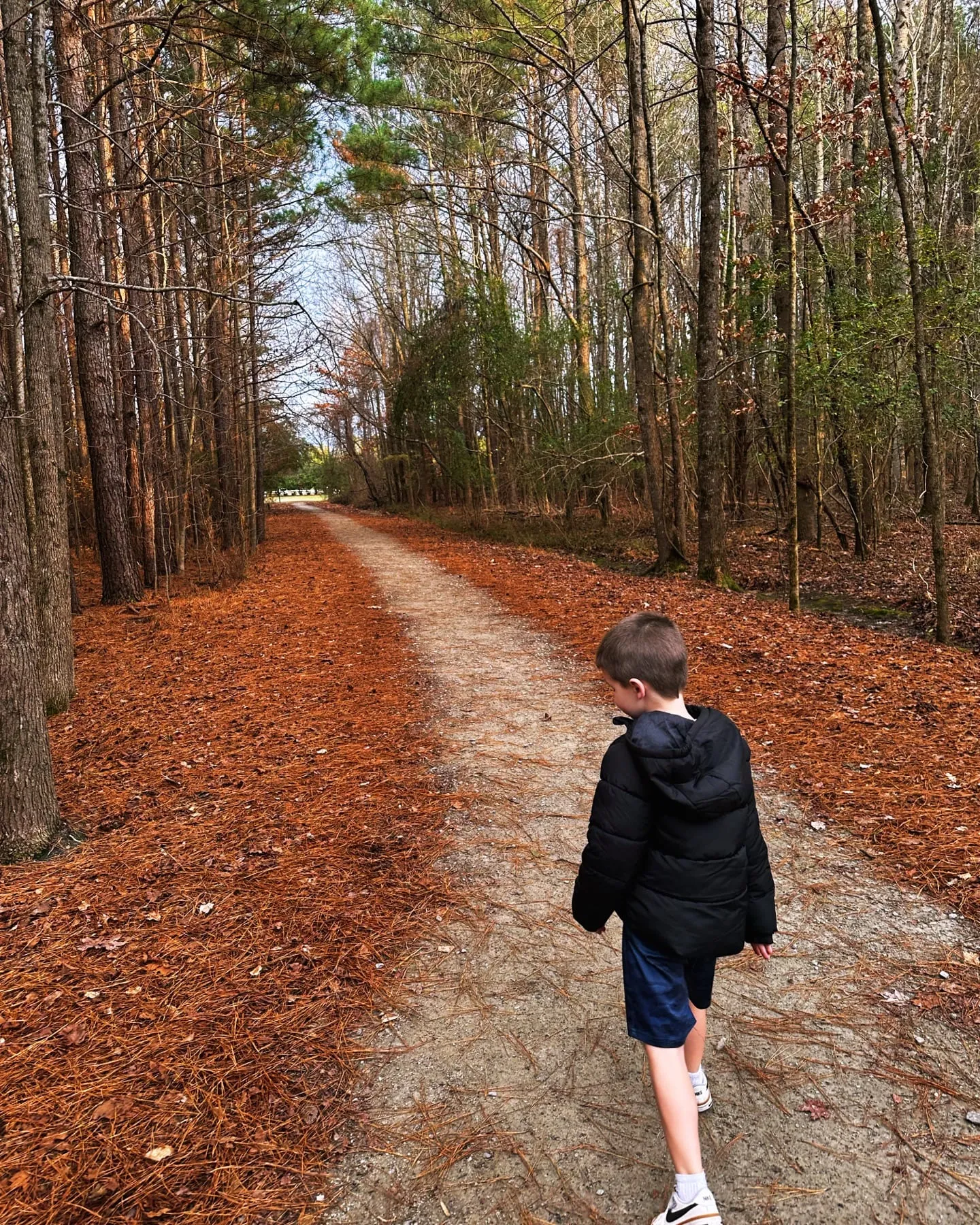 Our oldest walking down a leaf-covered forest trail in Virginia