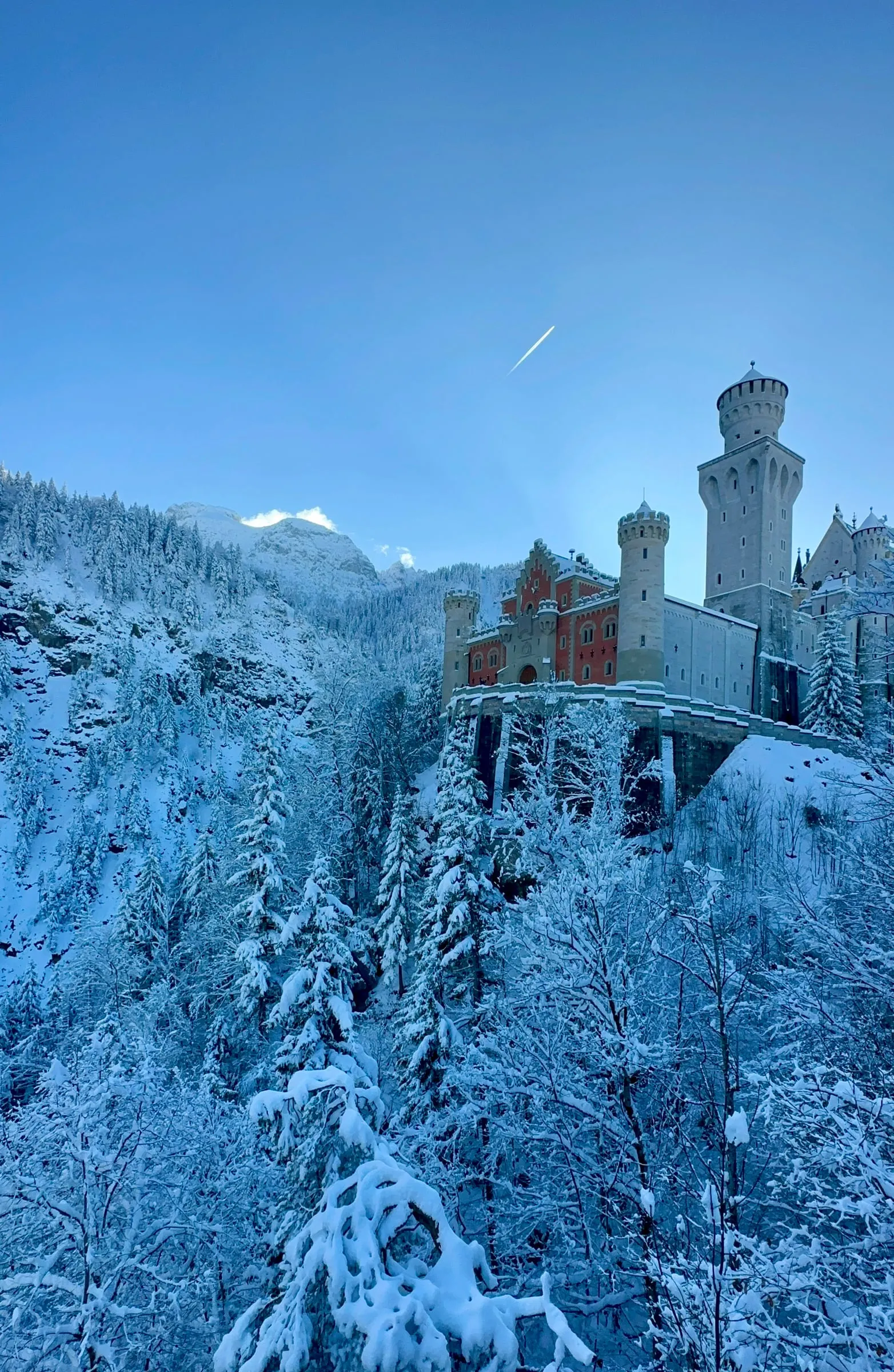 Neuschwanstein Castle on its cliff above a snow-covered forest valley under a blue sky