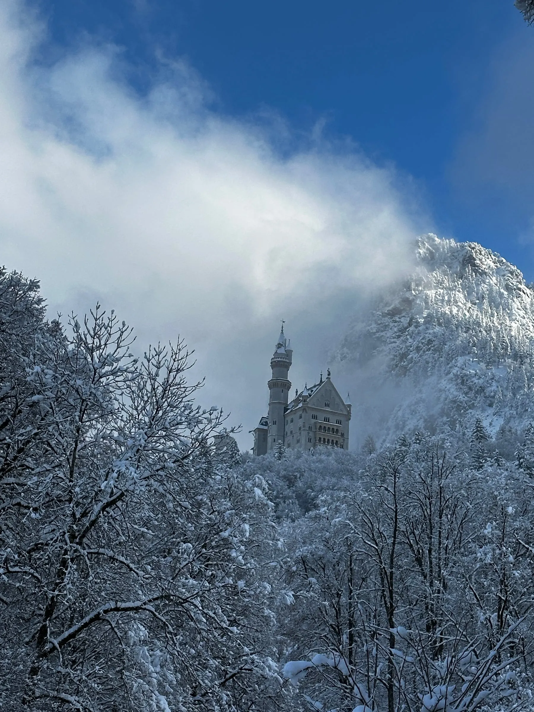 Neuschwanstein Castle peeking out of the clouds above a snowy forest