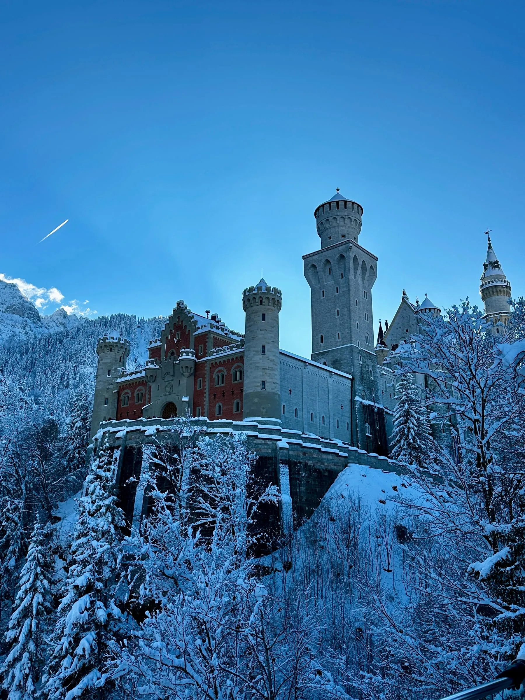 Neuschwanstein Castle on a cliff above snow-covered forest under a blue sky