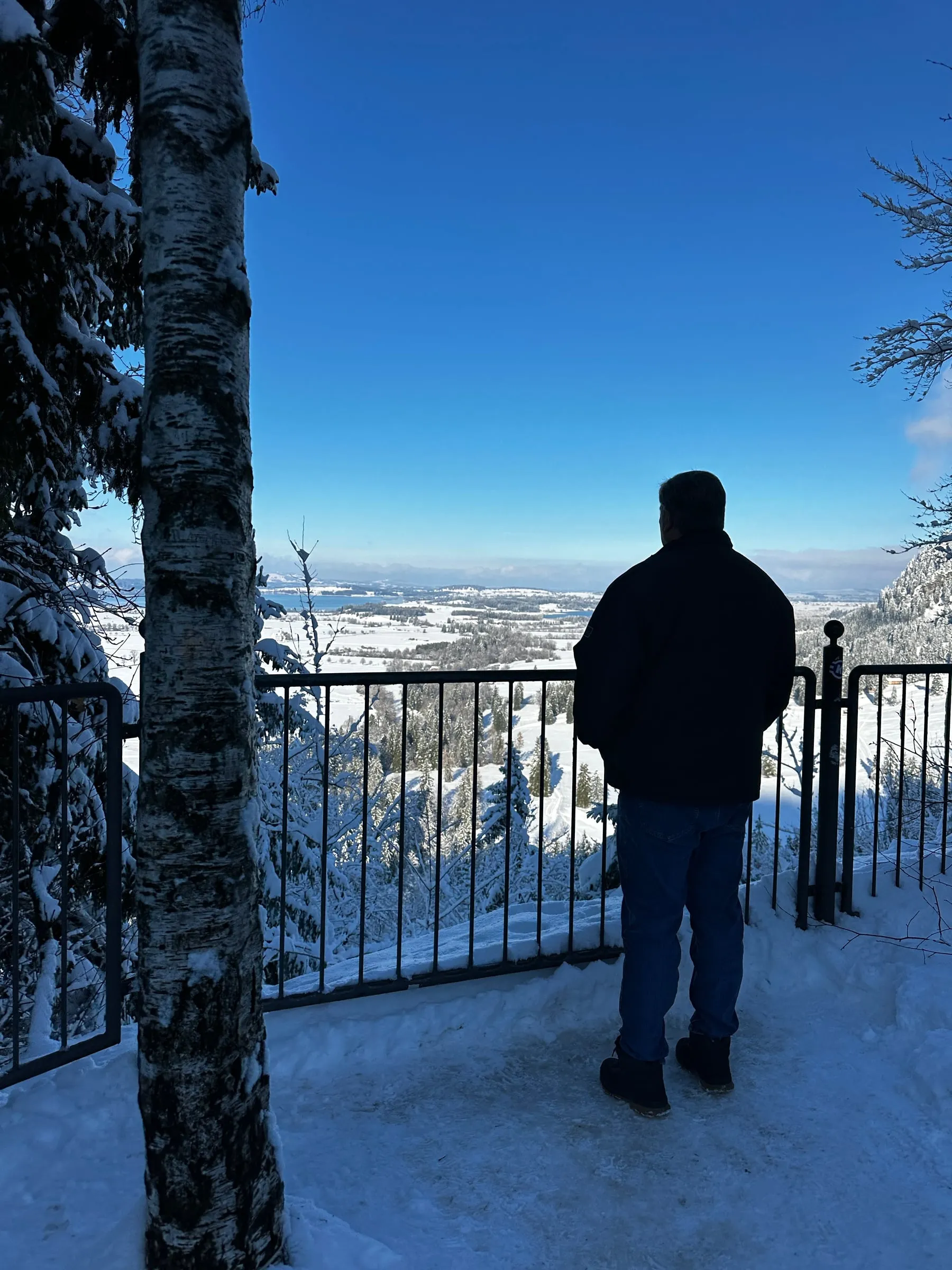 Michael looking out over the snowy valley from a railing near Neuschwanstein