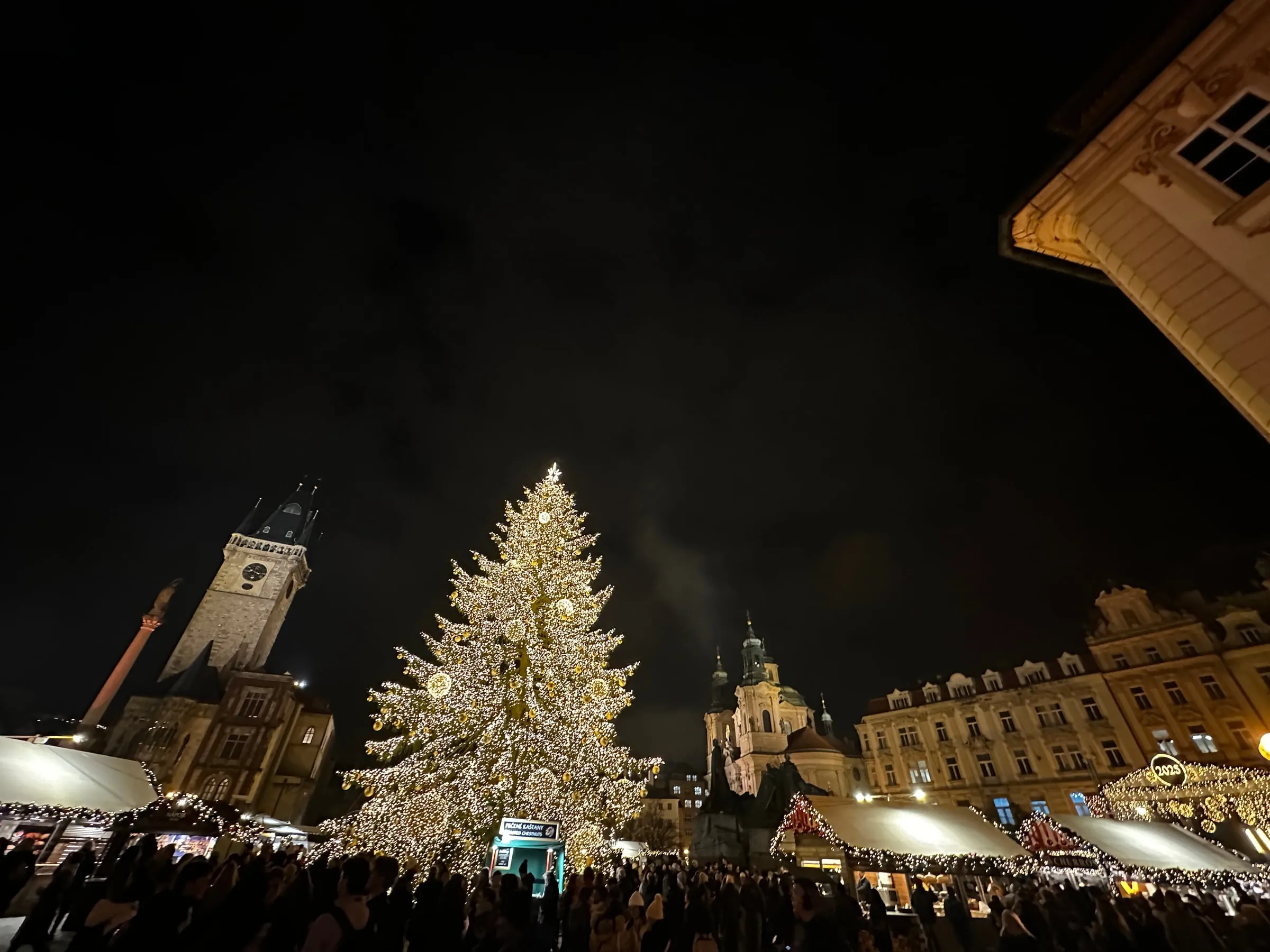 The giant Christmas tree in Prague's Old Town Square at night