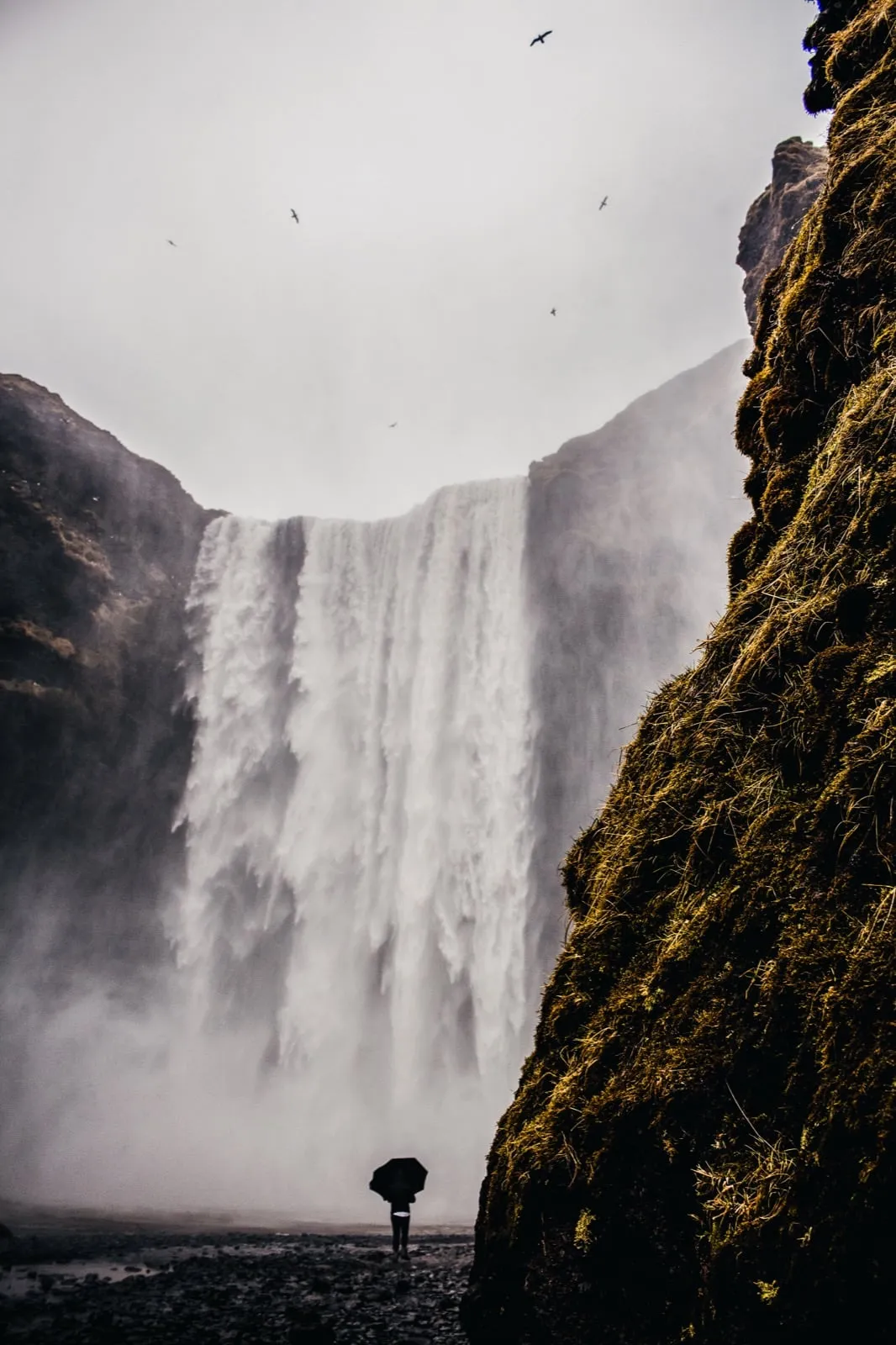 The tall, wide curtain of Skógafoss waterfall pouring over a mossy cliff in Iceland
