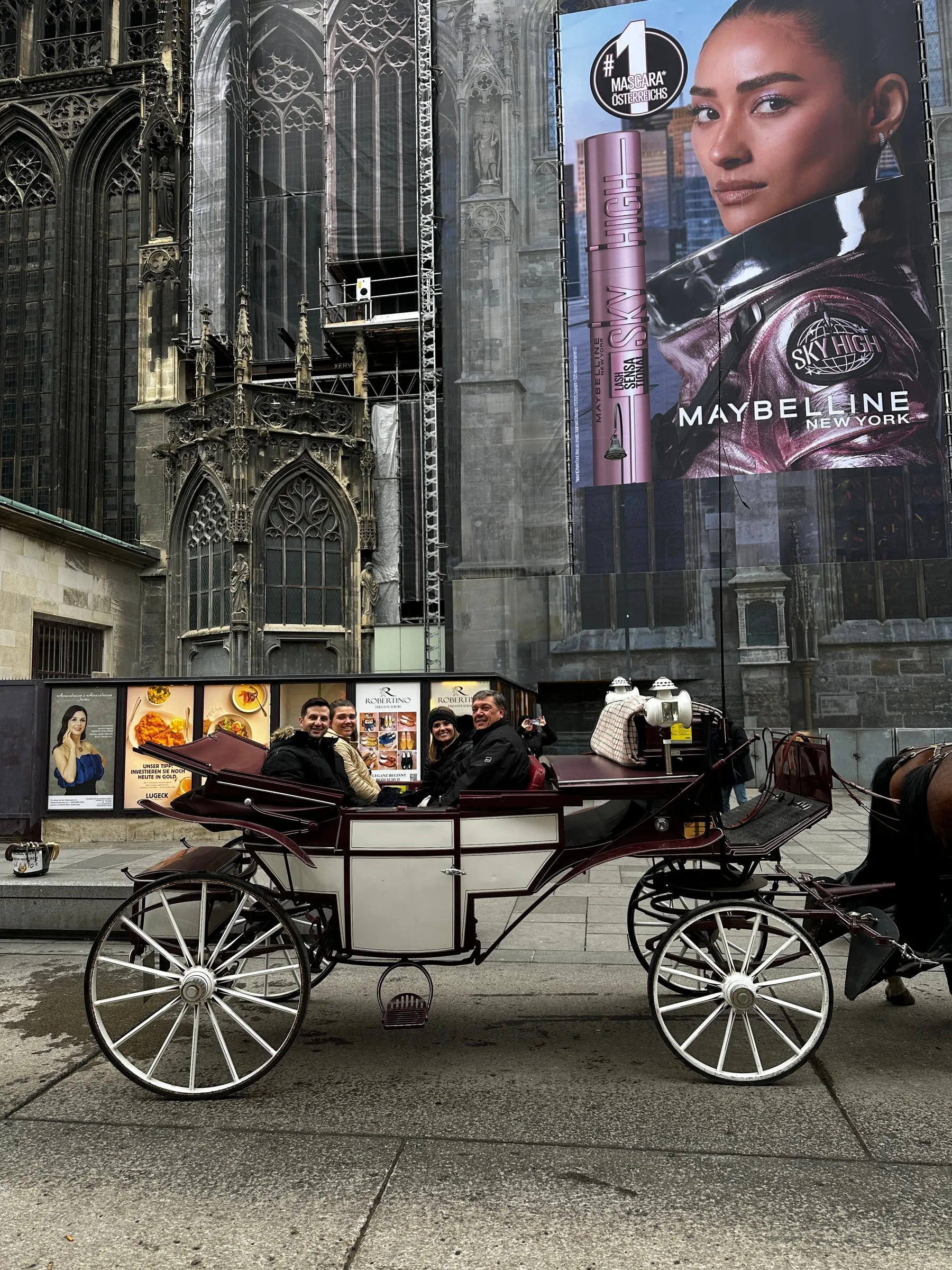 A horse-drawn fiaker carriage outside St. Stephen's Cathedral in Vienna