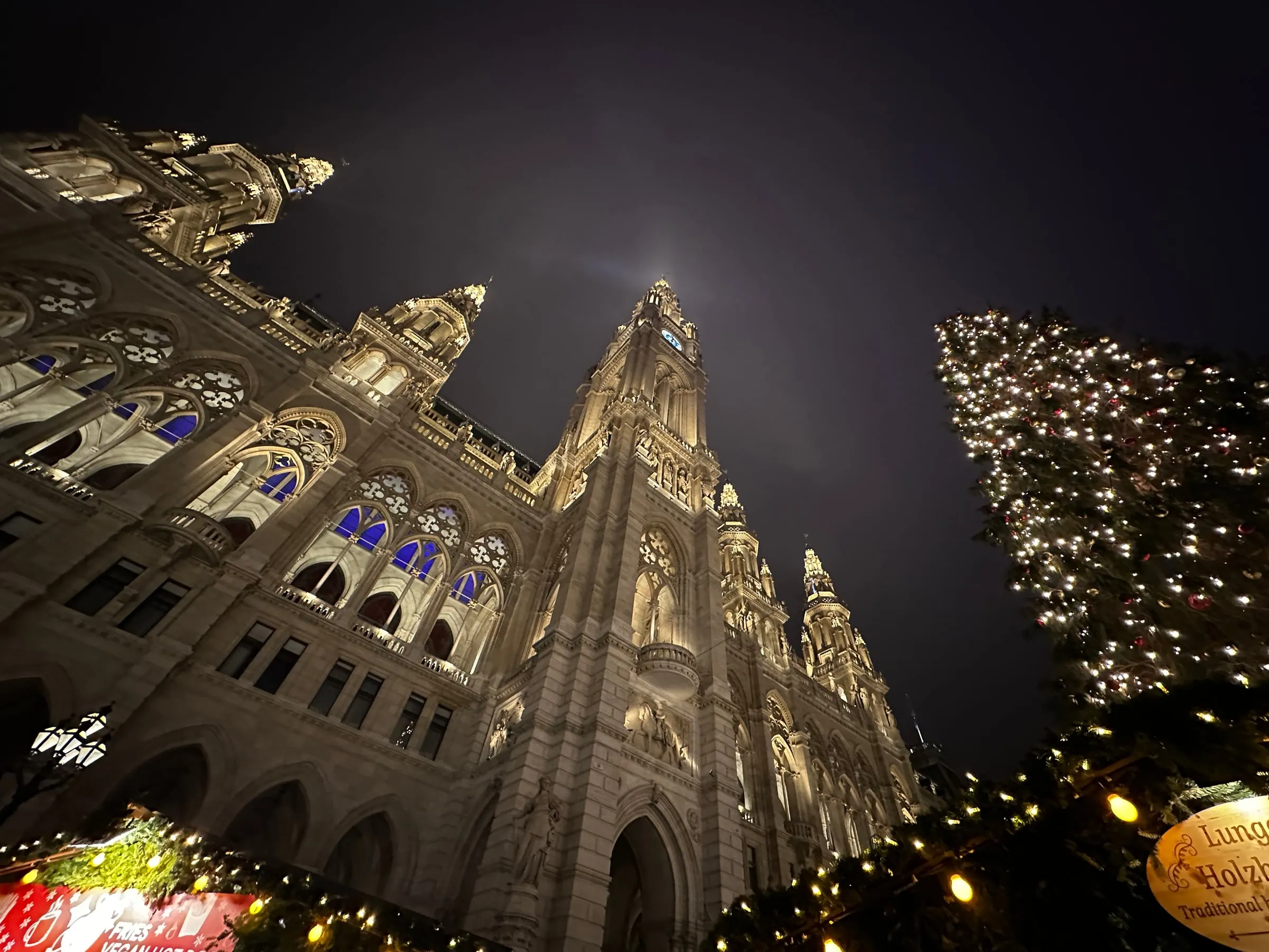 Vienna's Gothic City Hall glowing at night behind a towering Christmas tree