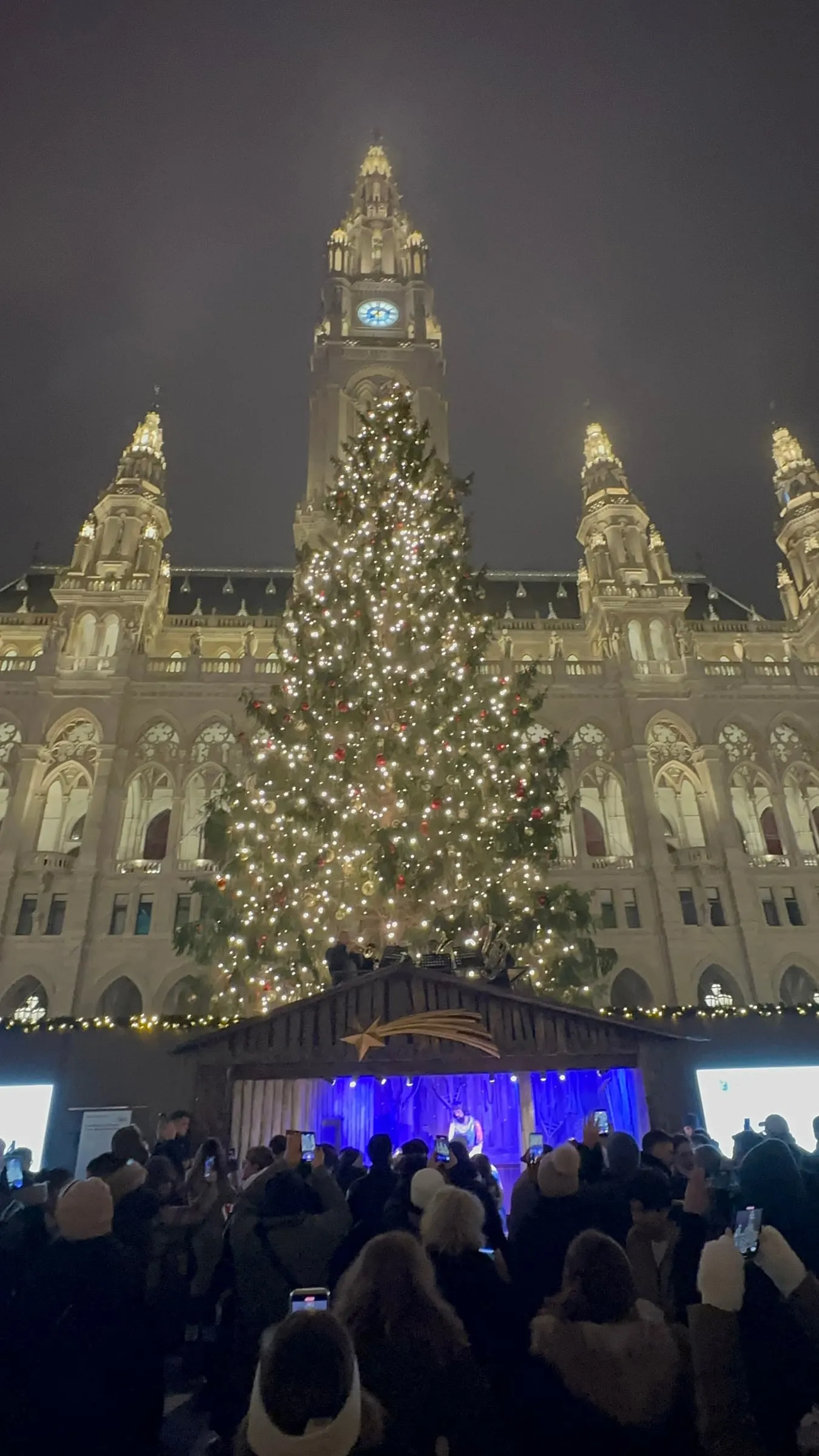 A giant decorated Christmas tree in front of the illuminated Vienna City Hall